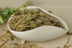 蒲公英和益母草能一起泡水喝吗 干益母草可以泡水喝吗