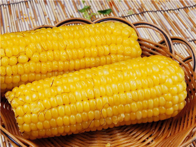 秋季不节食怎么减肥好？