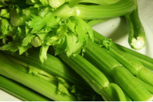 吃芹菜能减肥 这样吃让你瘦到90斤