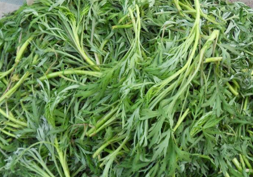 柳蒿芽怎么做好吃 孕妇能吃吗