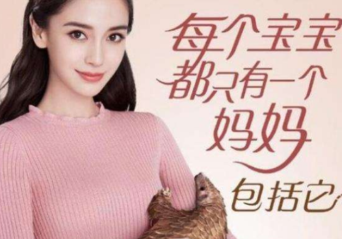 吃穿山甲是犯法的吗 可以通乳吗