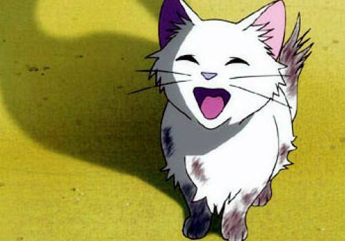 孕妇梦见被猫咬是什么意思 是要生男孩还是女儿