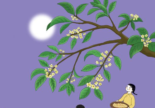 孕妇梦见桂花树是什么意思 是生男生女