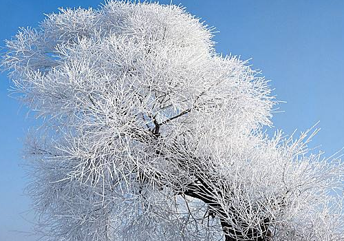 孕妇梦见雪是什么意思 是生男生女