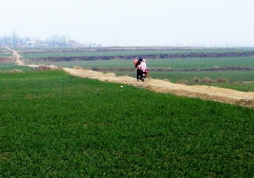 孕妇梦见田野是什么意思 是生男孩还是女孩
