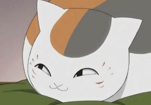 猫咪脑袋上有疙瘩怎么办 猫癣掉毛需要剪掉毛吗