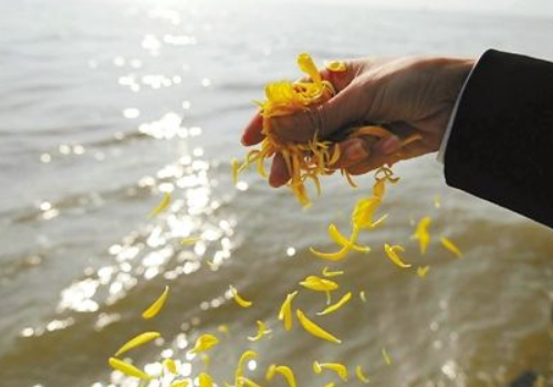 海葬后如何祭奠 骨灰盒怎么处理
