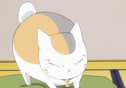 猫被吓着不吃东西怎么办 咕噜噜叫是什么意思