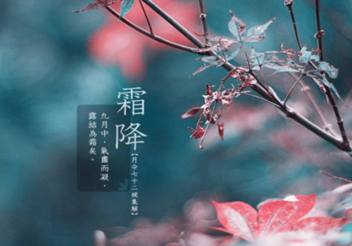 霜降过后冷吗 该穿什么衣服