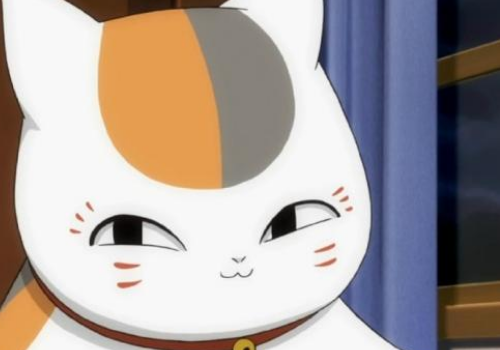 猫耳螨会传染人吗 洗一次多少钱