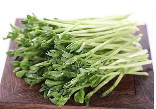 吃豆苗可以减肥吗 功效与作用