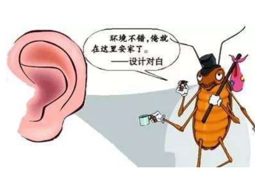 耳洞怎么清洗 怎么保养