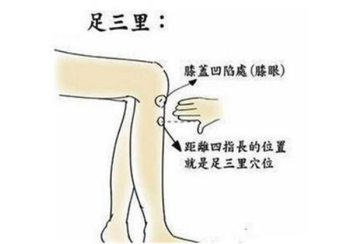 敲足三里能减肥吗 好处和害处有哪些