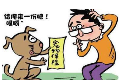 宠物责任险多少钱 有哪些保障