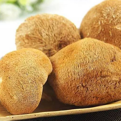 猴头菇宝宝能吃吗 有什么好处