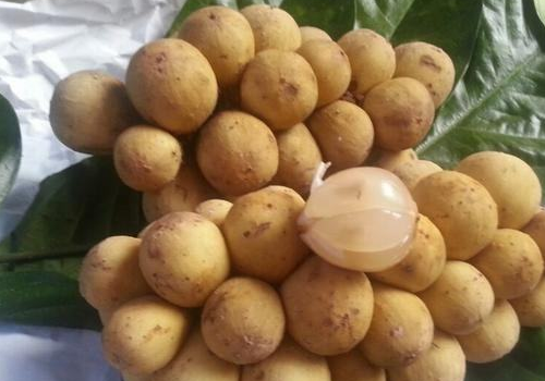 冬天孕妇能吃凉拌菜吗 可以吃桂圆吗