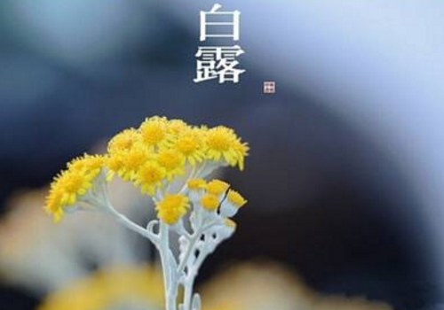 2018白露会下雨吗 吃鸡是什么说法
