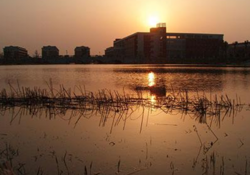 大学没过四级怎么补救 能毕业吗