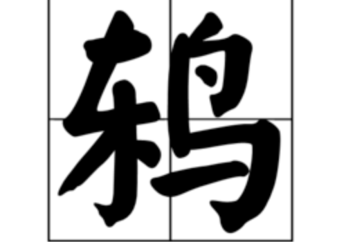 一个东一个鸟是什么字 鸫字怎么读
