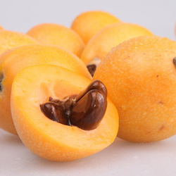 哺乳期能不能吃枇杷 有润肺止咳利尿清热之功效
