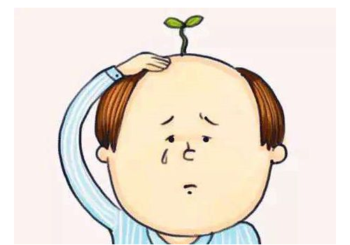 男人秃顶是什么原因 能治好吗