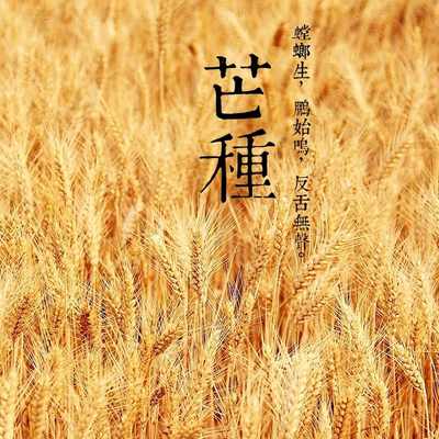 芒种出生的人是什么命 取什么名字好