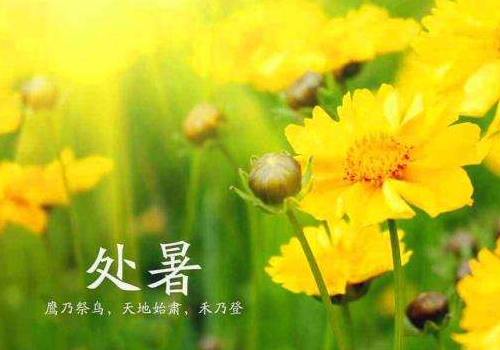 处暑钓鱼深水好还是浅水好 水深多少合适