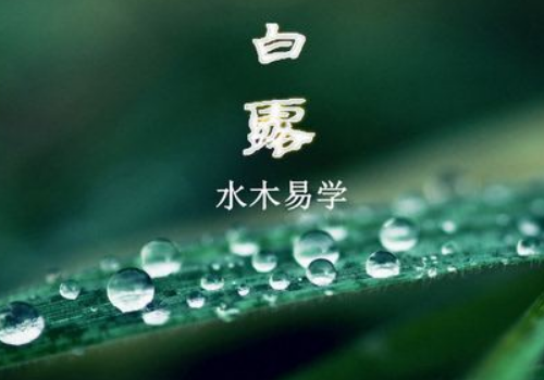 白露适合喝什么粥 有什么讲究和禁忌