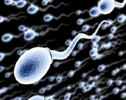 男性精子活力标准 精子活力低怎么调理