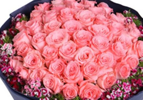 教师节送玫瑰花送多少枝 有什么寓意