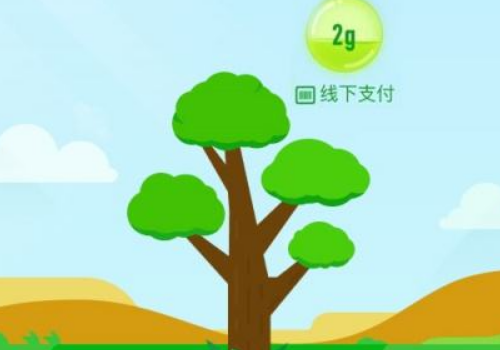 蚂蚁森林能量保护罩能保护多长时间 哪种方式可以获取