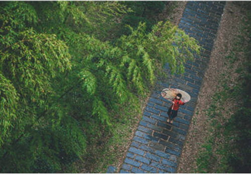 下雨天怎么拍 拍摄技巧是什么