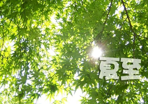 夏至进补吃什么 喝什么茶好