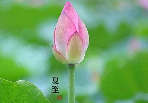 夏至是夏天来了吗 吃什么传统食物