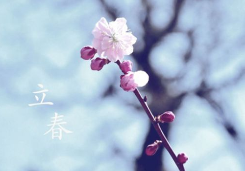 2019年立春是农历哪天 哪天立春