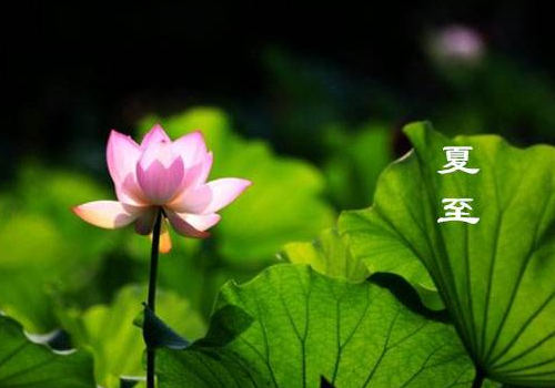 夏至三候是哪三个 吃三笋是哪三笋