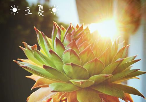 立夏后气温一般是多少度 气候特点有哪些