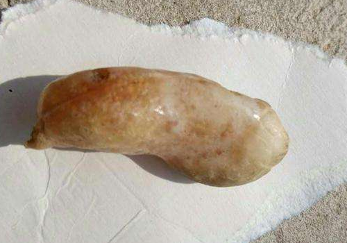 鱼宝价值多少钱 有什么作用