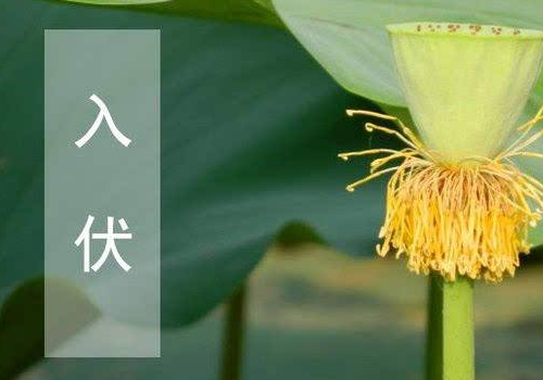 2018年有闰中伏吗 为什么会有闰中伏