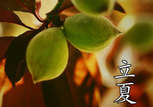 立夏可以吃海鲜吗 能吃烧烤