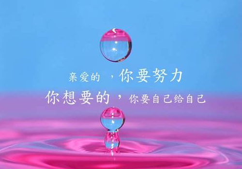 高考可以用钢笔吗 用什么笔最好