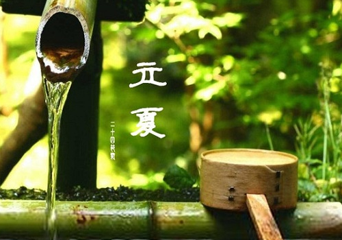 立夏可以吃海参吗 可以吃鸽子吗