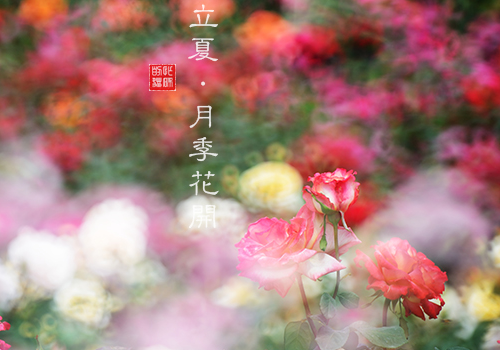 立夏怎么护蛋 可以送蛋给别人吗