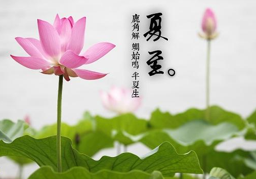 夏至后天气会越来越热吗 钓鱼的技巧有哪些