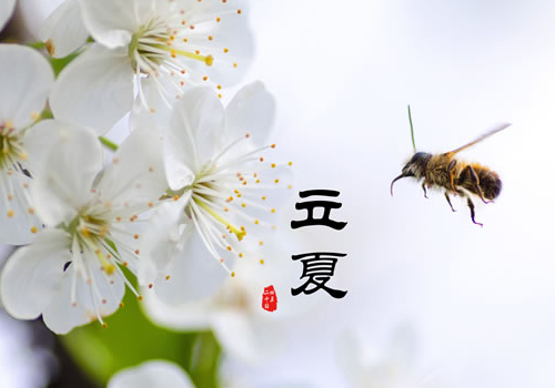 立夏为什么吃面条 为什么要吃光饼