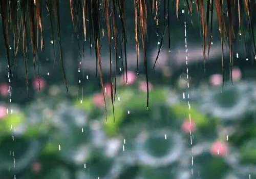 梅雨季节潮湿怎么办 怎么防潮