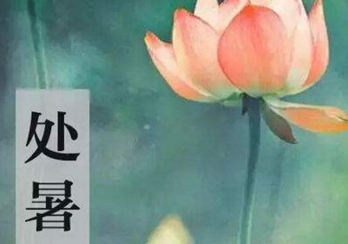 处暑能断奶吗 穿什么衣服鞋子
