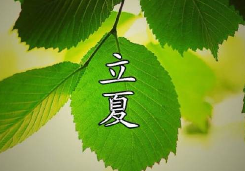 立夏可以吃盐蛋吗 怎么做好吃