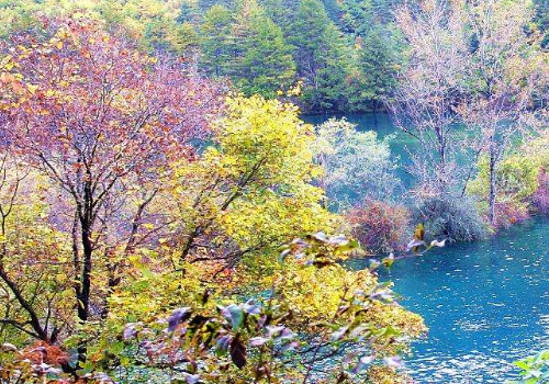 四川有多少个市 九寨沟属于哪个市