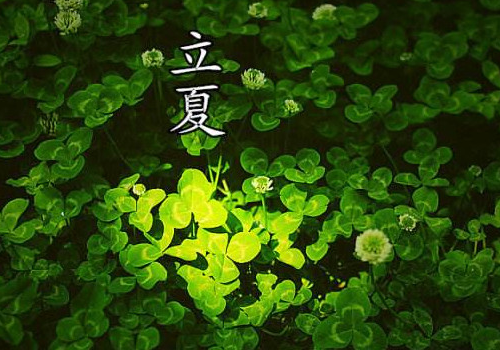 立夏为什么要斗蛋 怎么玩